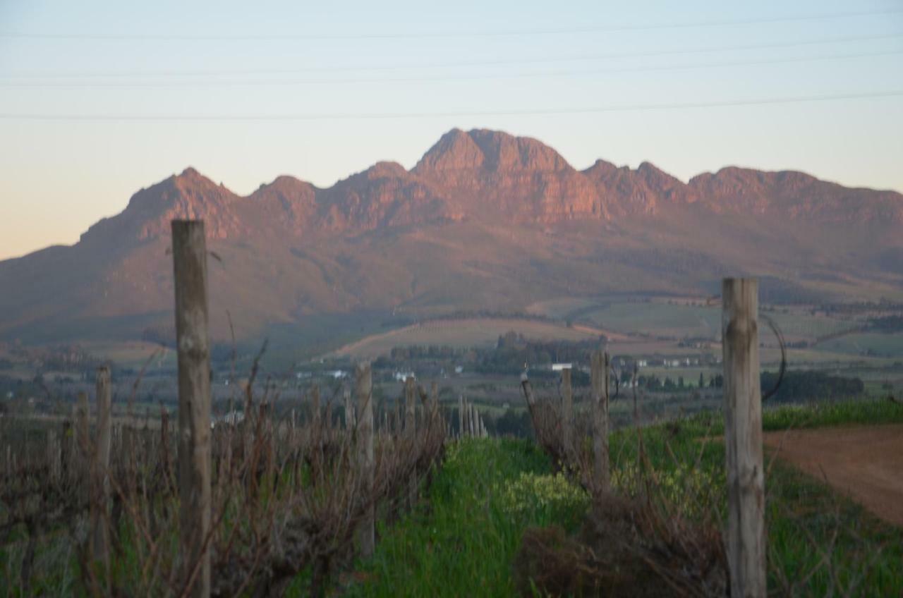 Art House Villa Stellenbosch Eksteriør bilde